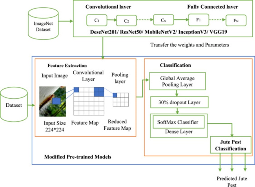 Figure 4. Proposed JutePestDetect Model.
