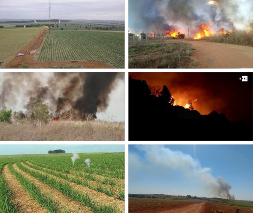 Figure 1. Sample images from the fire and smoke dataset.