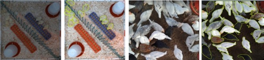 Figure 2. Data collection and annotation.