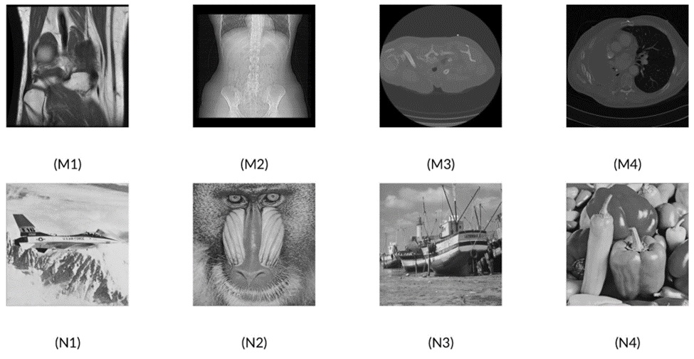Figure 6. 16-bit sample DICOM images: (M1) Medical Image-1, (M2) Medical Image-2, (M3) Medical Image-3, (M4) Medical Image-4, and Sample natural images: (N1) Airplane, (N2) Baboon, (N3) Boat, and (N4) Peppers.
