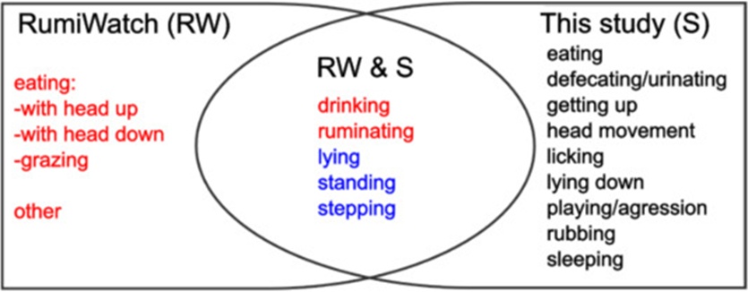 Figure 7. The forms of movement classified by different classifications: RumiWatch’s classification (left), this study (right), and both (middle). RumiWatch defines three types of eating movement and uses data from the halter (red) and the pedometer (blue) for classification. This study used data from both sensors and analyzed them together and separately (For interpretation of the references to colour in this figure legend, the reader is referred to the web version of this article).