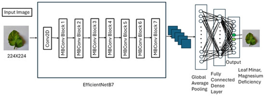 Figure 1. Architecture of the proposed multi-label EfficientNetB7 classification model.