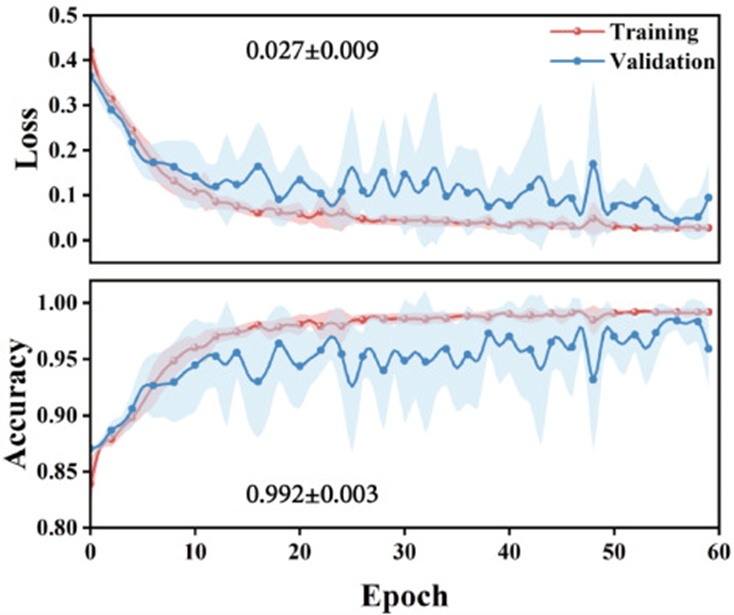 Figure 11. The average 10-CV accuracy and loss of the training set and validation set. The red line represents the values of the training set, and the blue line represents the validation set. The shadow areas represent the error range.