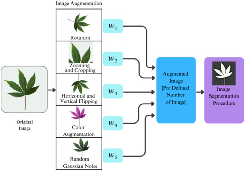Figure 2. Workflow diagram of the proposed method.