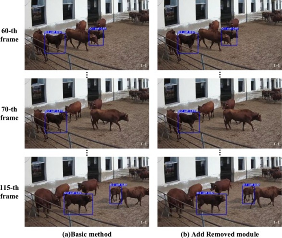 Figure 13. Qualitative tracking results of the basic tracking method and the added Trajectory Removal module in video 7 of our calf tracking dataset.