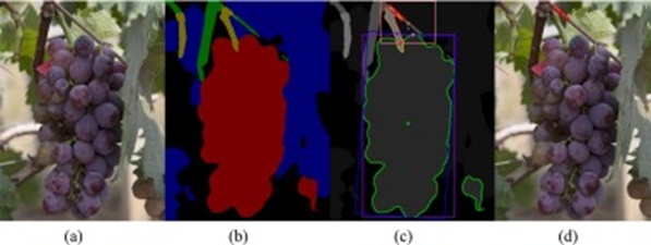 Figure 13. Localization failures in general scenarios: (a) Original image, (b) Semantic segmentation result, (c) Picking point localization result, and (d) Visualization of the picking point on the original image.