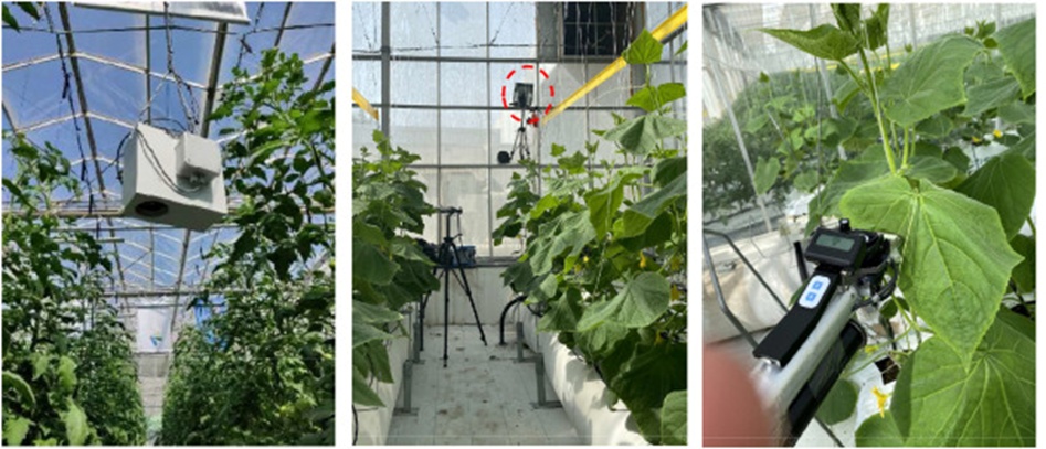 Figure 1. Equipment used for data collection in the greenhouse: a) Aspirator box, b) Hyperspectral camera, and c) Gas exchange measurement system.