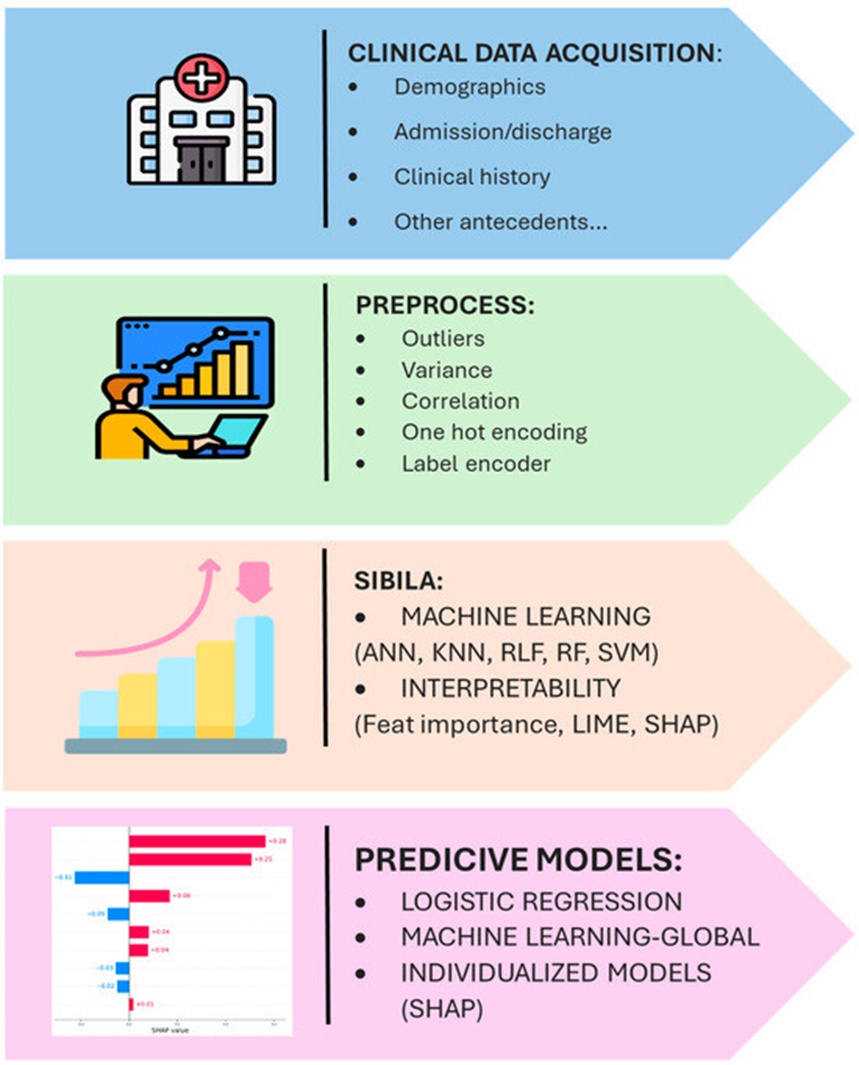 Figure 1. Overview of the study design.
