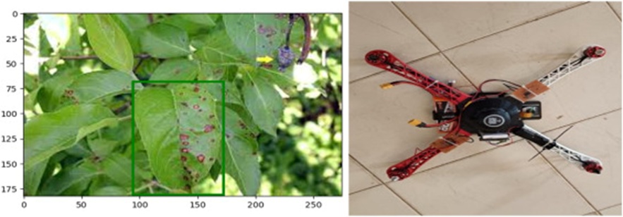 Figure 2. Object detection using Yolov8.