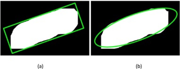 Figure 11. (a) The smallest outer rectangle of the back outline of the pig and (b) the fitting ellipse.