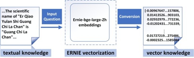 Figure 7. The vectorization process.