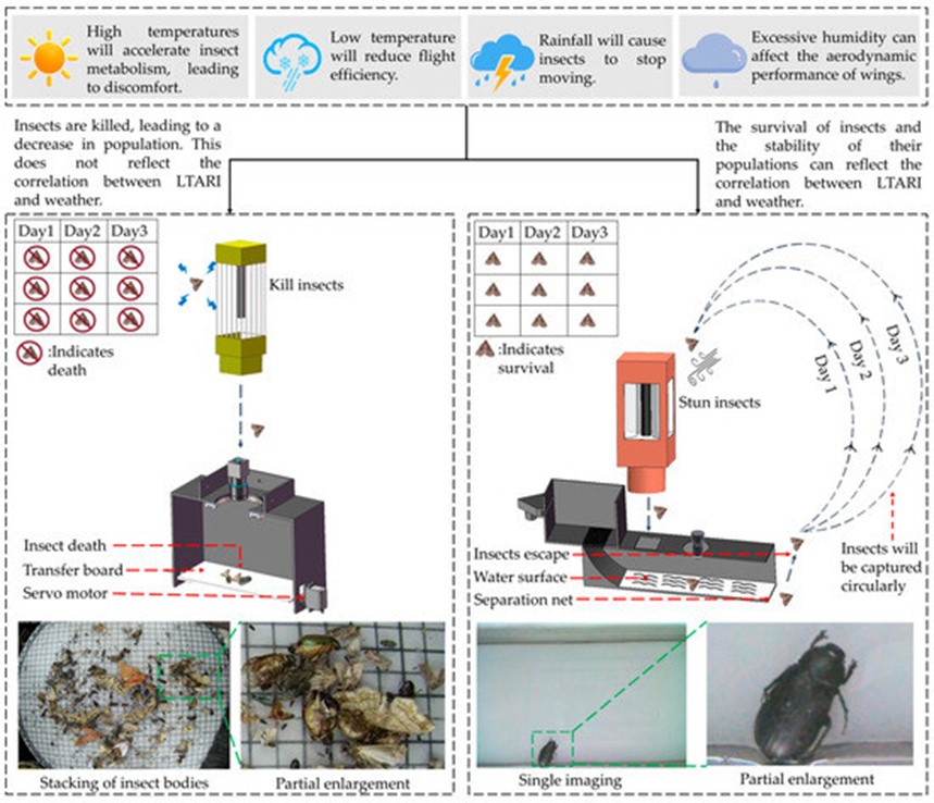 Figure 2. Comparison between a conventional lethal light-trap device (left) and the proposed non-lethal live-insect monitoring system (right).