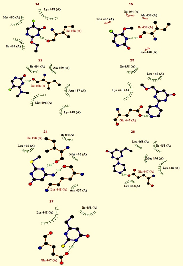 Figure 3. The interaction of pyrimidinone derivatives (14, 15, 22, 23, 24, 26, and 27) with the 4ic2 protein surface involves several amino acid residues—scheme visualized with the DockingServer software [30].