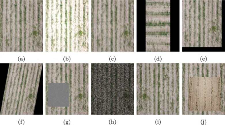 Figure 5. Visual effects of various data augmentation methods: (a) Original image, (b) Highlighting, (c) Blurring, (d) Rotation, (e) Panning, (f) Shearing, (g) Random Erasing, (h) Hide-and-Seek, (i) Self-Augmentation, and (j) Class Mix.