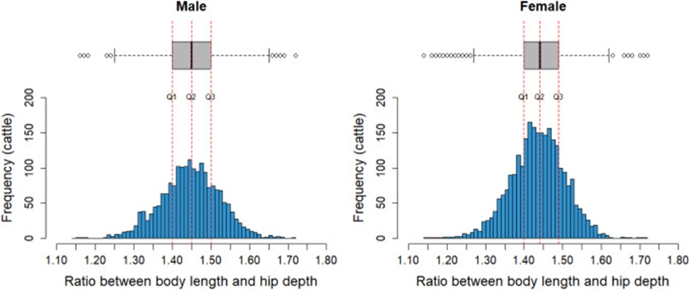 Figure 6. Histograms and boxplots to visualize the distribution of the body length to hip depth ratios among male and female Brahman cattle.
