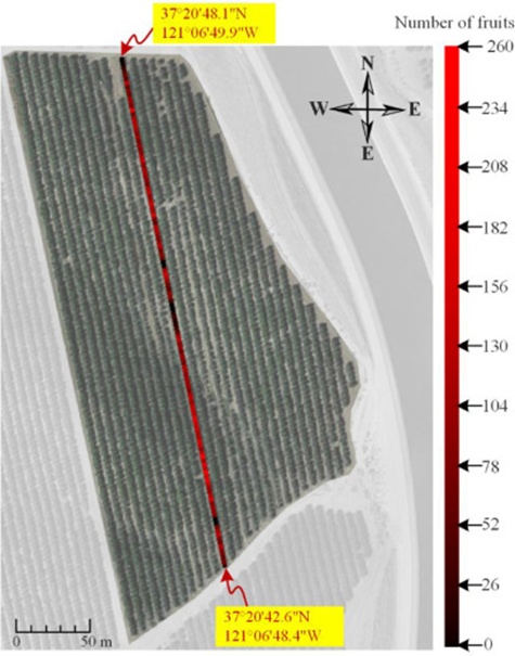 Figure 9. Result of estimated yield mapping after image processing using Lab color space.