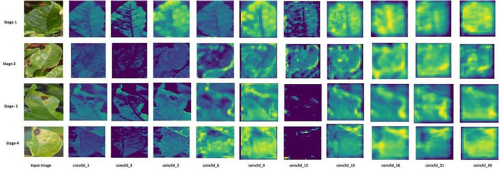Figure 20. Layer visualization of the InceptionNetV3 classifier.