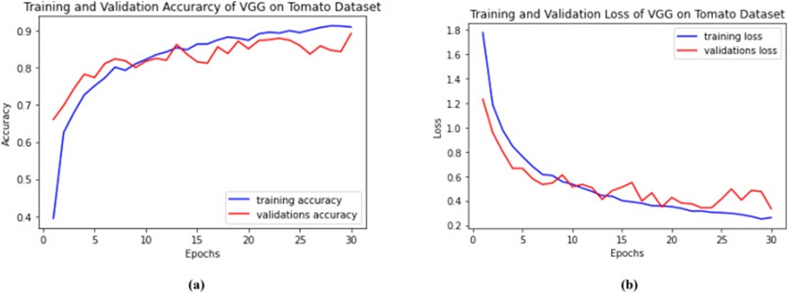 Figure 10. Training and validation: (a) Accuracy and (b) Loss of VGG16 tomatoes.