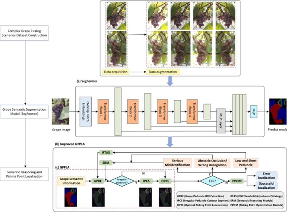Figure 1. An overview of the proposed algorithm.