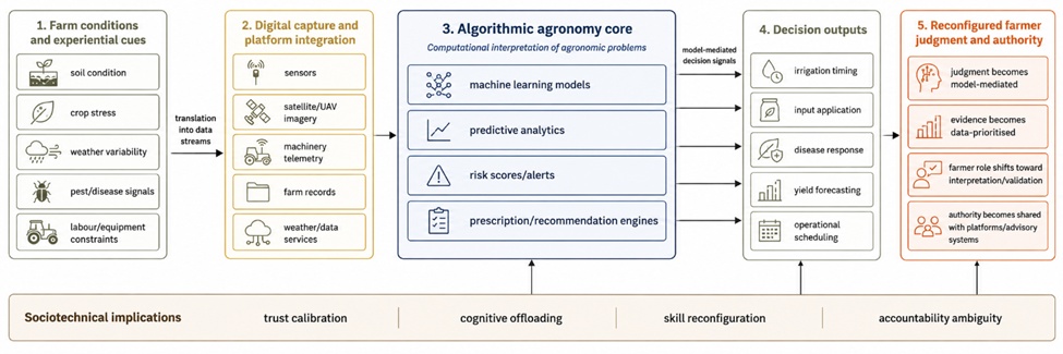 Figure 1. Algorithmic Agronomy as a Smart Farming Decision Context: From Farm Conditions to Model-Mediated Decision Authority