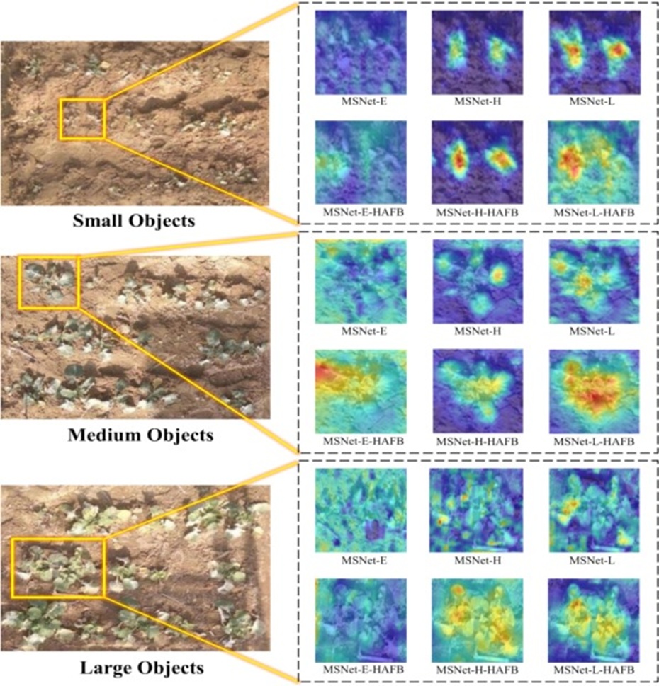 Figure 10. Comparison of Grad-CAM heatmaps between MSNet with the added HAFB module and MSNet without the HAFB module.