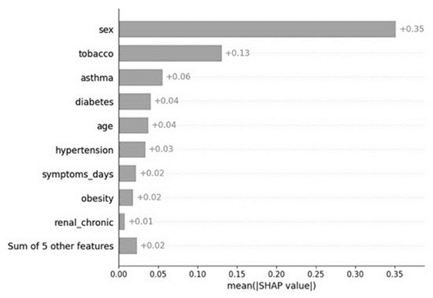 Figure 3. Shapley values of the attributes for the ICU classification.