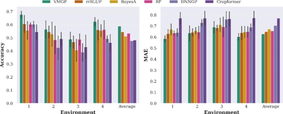 Figure 3. Multi-environment yield prediction accuracy and prediction error of methods built using four different models on the wheat599 dataset. VMGP, variational auto-encoder-based multi-task genomic prediction; rrBLUP, ridge regression-best linear unbiased prediction; RF, random forest; DNNGP, deep neural network for genomic prediction.