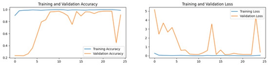 Figure 16. The accuracy and loss plot of ResNet-50 without image augmentation.