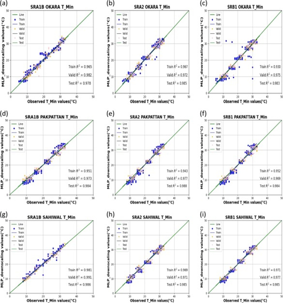 Figure 9. Across training, validation, and testing, the outputs of the downscaled MLP model were set against monthly minimum temperature observations for three storylines.