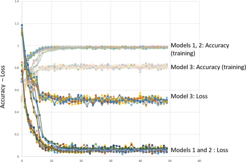 Figure 4. Illustration of how learning unfolds for models finishing at contrasting accuracy levels, showing representative training and loss curves for two models approaching 100% accuracy (models 1 and 2) and one model settling near 80% (model 3). Each line corresponds to a single 50-epoch run of the respective model.
