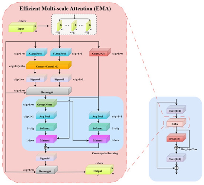 Figure 6. Structure of the iEMA module.
