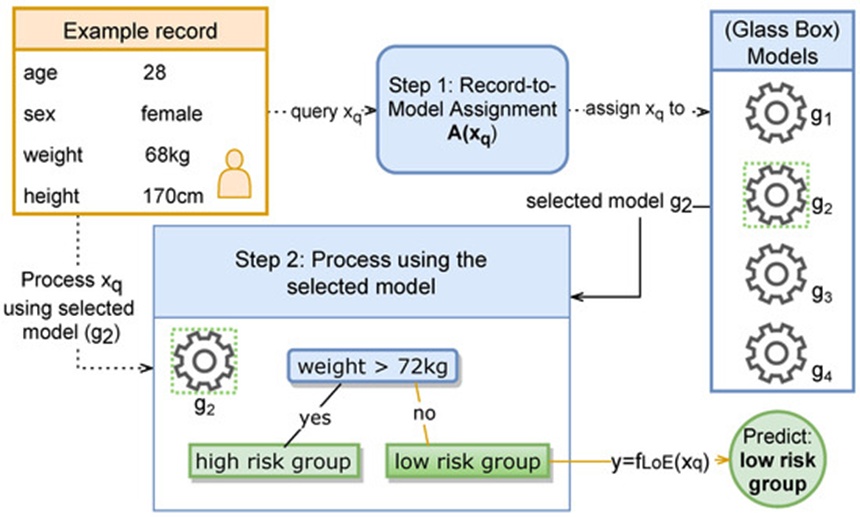 Figure 2. LoE’s two-step decision process: (i) expert assignment to query (here, g_2, a one-level decision tree) and (ii) query prediction by the assigned expert (here, prediction low-risk group). Here, experts are illustrated as gear wheels.