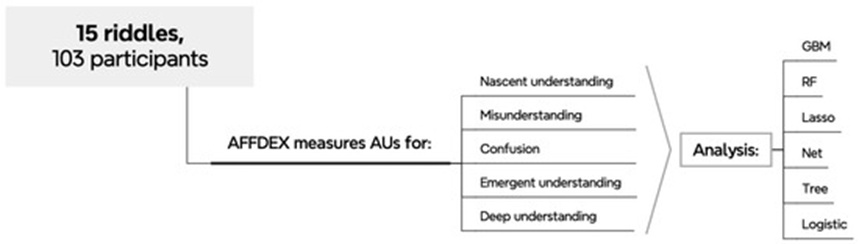 Figure 1. Simplified flowchart illustrating the methodology.