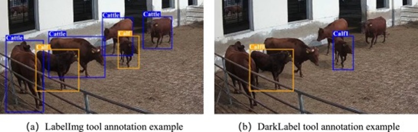Figure 3. Some examples of annotated images.