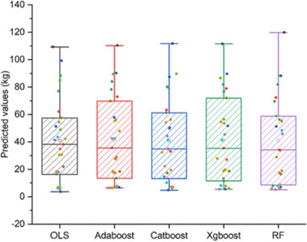 Figure 13. The boxplot of the prediction results for the different models.