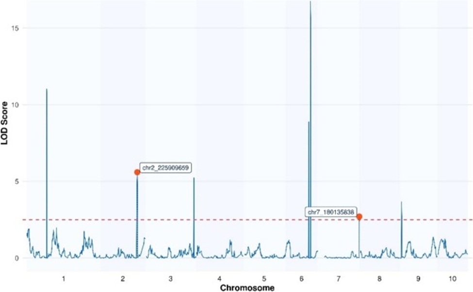 Figure 8. QTL mapping of DTP in the Z016 population co-localizing with two top SHAP-ranked SNPs of the maize4505 dataset. Abbreviations: QTL = quantitative trait loci; DTP = days to pollen.