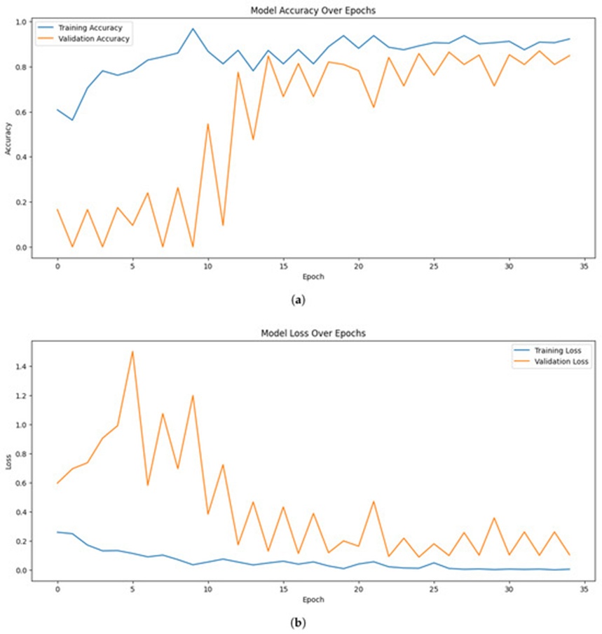 Figure 3. (a) Training and validation accuracy, and (b) the training and validation loss of EfficientNetB7.