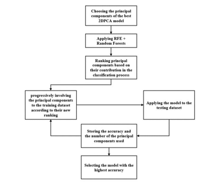 Figure 10. Flowchart of the combination process of 2DPCA and Random Forest in conjunction with RFE.