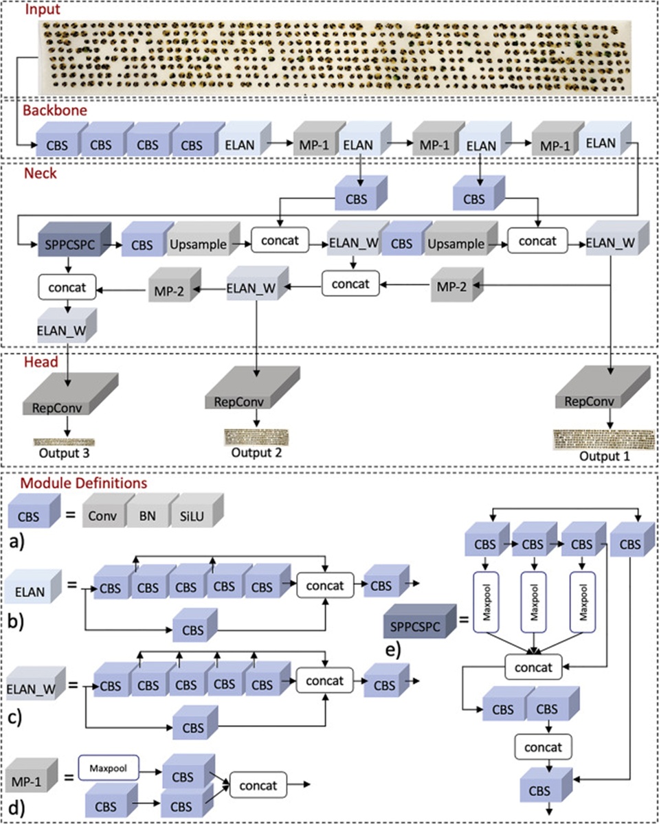 Figure 4. Architecture of the base YOLOv7 model. (a) Structure of Convolution + Batch Normalization (BN) + Sigmoid Linear Unit (SiLU) (CBS) module, (b) Structure of Efficient Layer Aggregation Network (ELAN) module, (c) Structure of ELAN_W module, (d) Structure of MP module, and (e) Structure of Spatial Pyramid Pooling Cross Stage Partial (SPPCSPC) module.