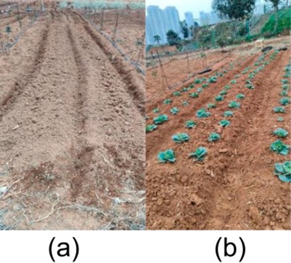 Figure 6. Data collection scenario.