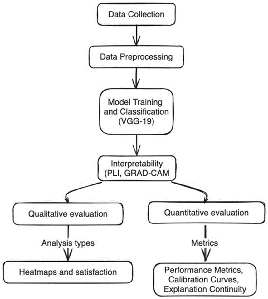 Figure 3. Workflow of the comparative methodology for diagnosing COVID-19 using chest CT scans.