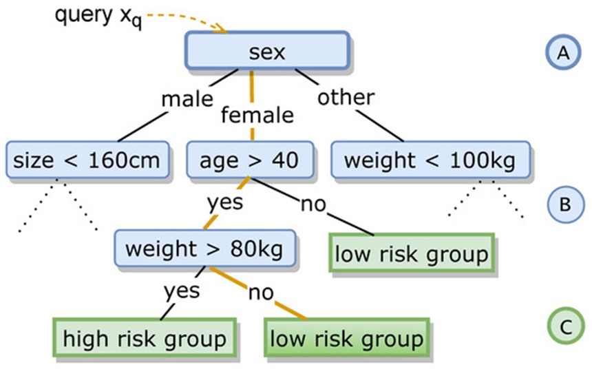 Figure 1. (Partial) decision tree example with (A–C) being the root, inner nodes, and leaves, respectively. An example query with corresponding trace is highlighted in orange.