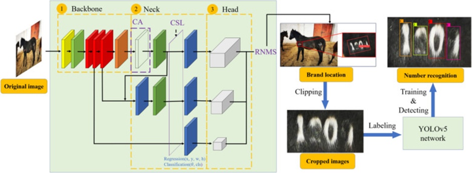 Figure 3. Overview of the proposed method.