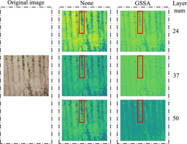 Figure 13. Visualized feature maps of none and the GSSA module.