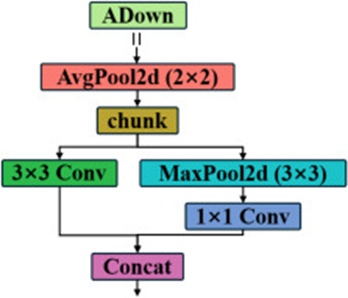 Figure 6. Structure diagram of the ADown module.