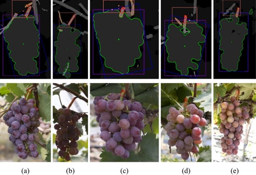 Figure 8. Optimization results of picking points using the PPOM algorithm.