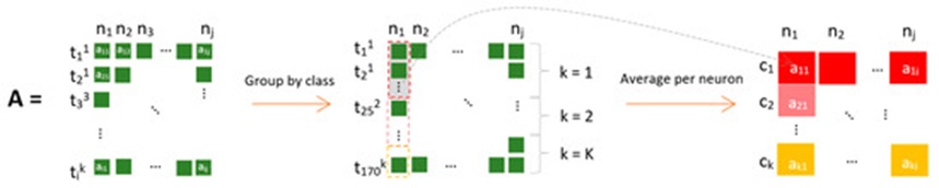 Figure 2. Obtaining the average activation values per neuron at each class. The activation matrix (A) is grouped by class per neuron (nj) and each class (ck) has an averaged activation value (aij).