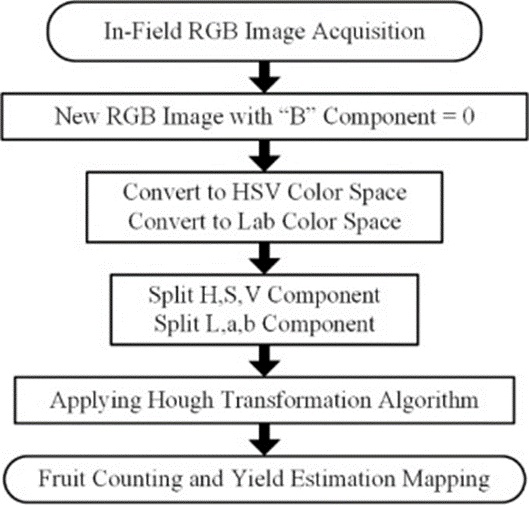 Figure 1. Flowchart of the image processing algorithm.