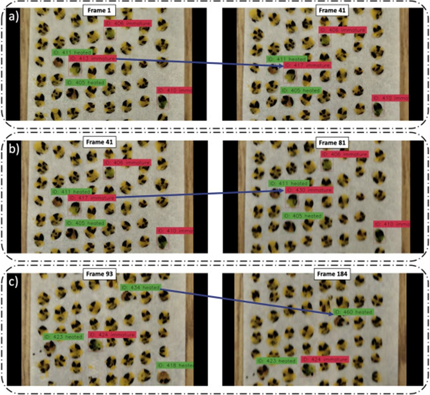 Figure 10. The three instances of identity switching observed in the test video while tracking the detected objects.