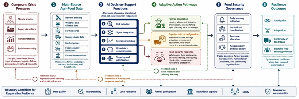 Figure 1. AI-Supported Agri-Food Resilience Under Compound Crises: Linking Climate Shocks, Supply Disruptions, Farmer Adaptation, and Food Security Governance